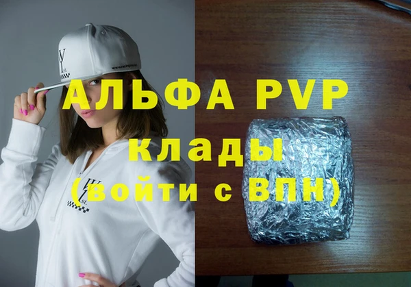индика Сатка