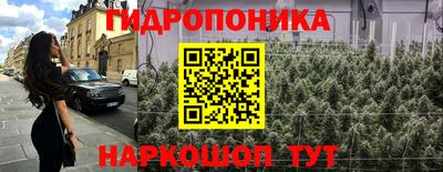 jwh Кинель