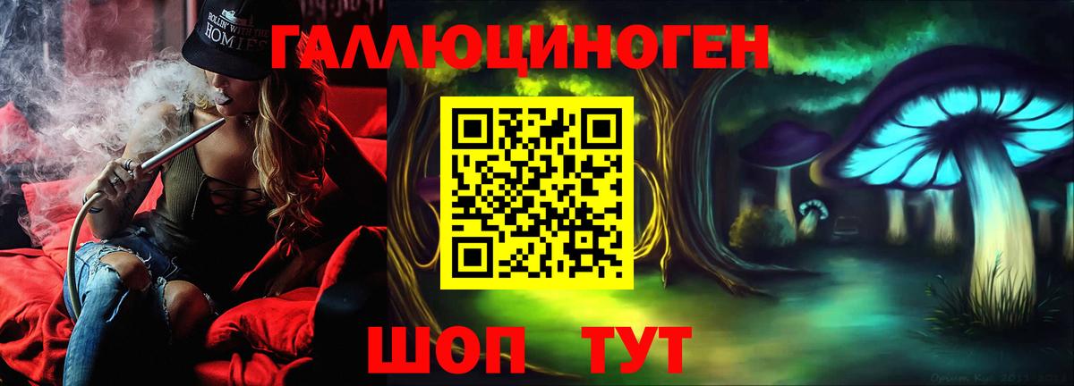 Псилоцибиновые грибы Cubensis  Вход с VPN  Обь 