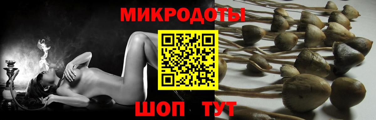 Псилоцибиновые грибы ЛСД Обь