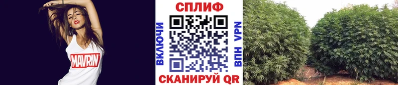 МАРИХУАНА конопля Обь
